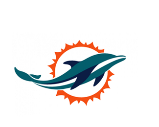 美国国家橄榄球联盟logo设计欣赏(橄榄球海豚队)