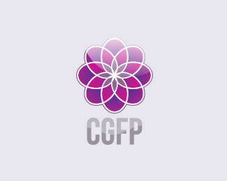 国外财务公司CGFP